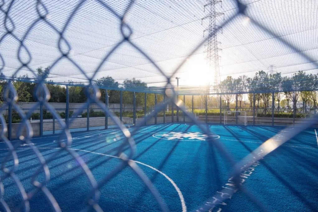 1668495830664719.jpg 1668495830664719.jpg