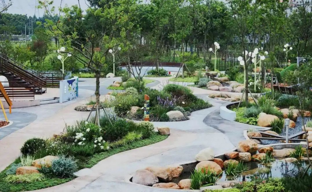 1668497795980532.jpg 1668497795980532.jpg