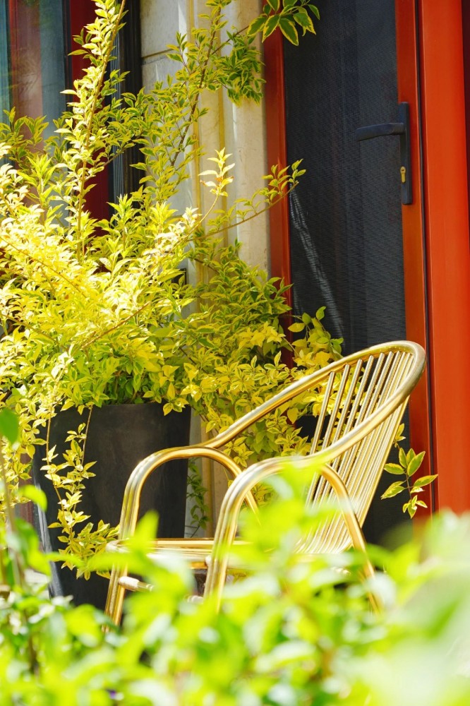 1686034380384958.jpg 1686034380384958.jpg